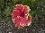 P3180572-2.jpg