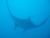 k-k-P7261134.JPG