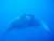 k-k-P7261154.JPG