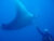 k-k-P7261158.JPG