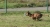 PICO_ASST_20121021_041.jpg