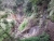 20140317_125348.jpg