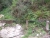 k-P1010870.JPG