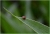 d0a4j1aght_dsc_2454.jpg
