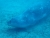 k-P3081481.JPG