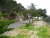 k-P1070037.JPG