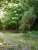 k-P1010053.JPG