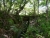k-P1010058.JPG