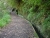 k-P1010070.JPG