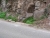 k-P1040429.JPG