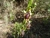 DSC00055 Kopie.JPG