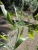 k-DSCN0829.JPG