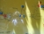 k-DSCN1930.JPG