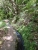 k-DSCN2052.JPG