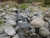 k-DSCN3587.JPG