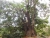 k-DSCN4087.JPG