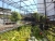 k-DSCN4731.JPG