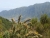 k-DSCN5347.JPG