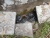 k-DSCN6198.JPG