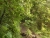 k-DSCN6527.JPG