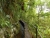 k-DSCN6587.JPG