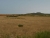 k-DSCN6982.JPG