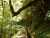 k-DSCN7129 - Kopie.JPG