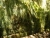 k-DSCN7138 - Kopie.JPG