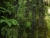 k-DSCN7141 - Kopie.JPG