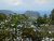 k-k-DSCN7245.JPG