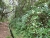 k-DSCN7586.JPG