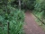 k-DSCN7588.JPG