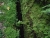 k-DSCN7592.JPG