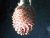 k-DSCN7614.JPG