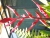 k-DSCN7615.JPG