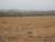 k-DSCN7644.JPG