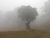 k-DSCN7651.JPG