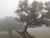 k-DSCN7652.JPG
