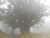 k-DSCN7653.JPG