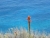 k-DSCN7682.JPG