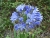 k-DSCN7699.JPG