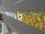 k-DSCN7736.JPG