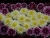 k-DSCN7766.JPG