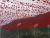 k-DSCN7768.JPG