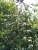 k-DSCN7566.JPG