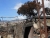 k-DSCN3757.JPG
