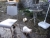 DSC00046.JPG