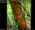 Bildschirmfoto 2018-05-21 um 11.00.04.png