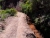 20180708_151350.jpg