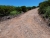 20180708_151752.jpg